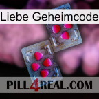 Love Secret Code 15